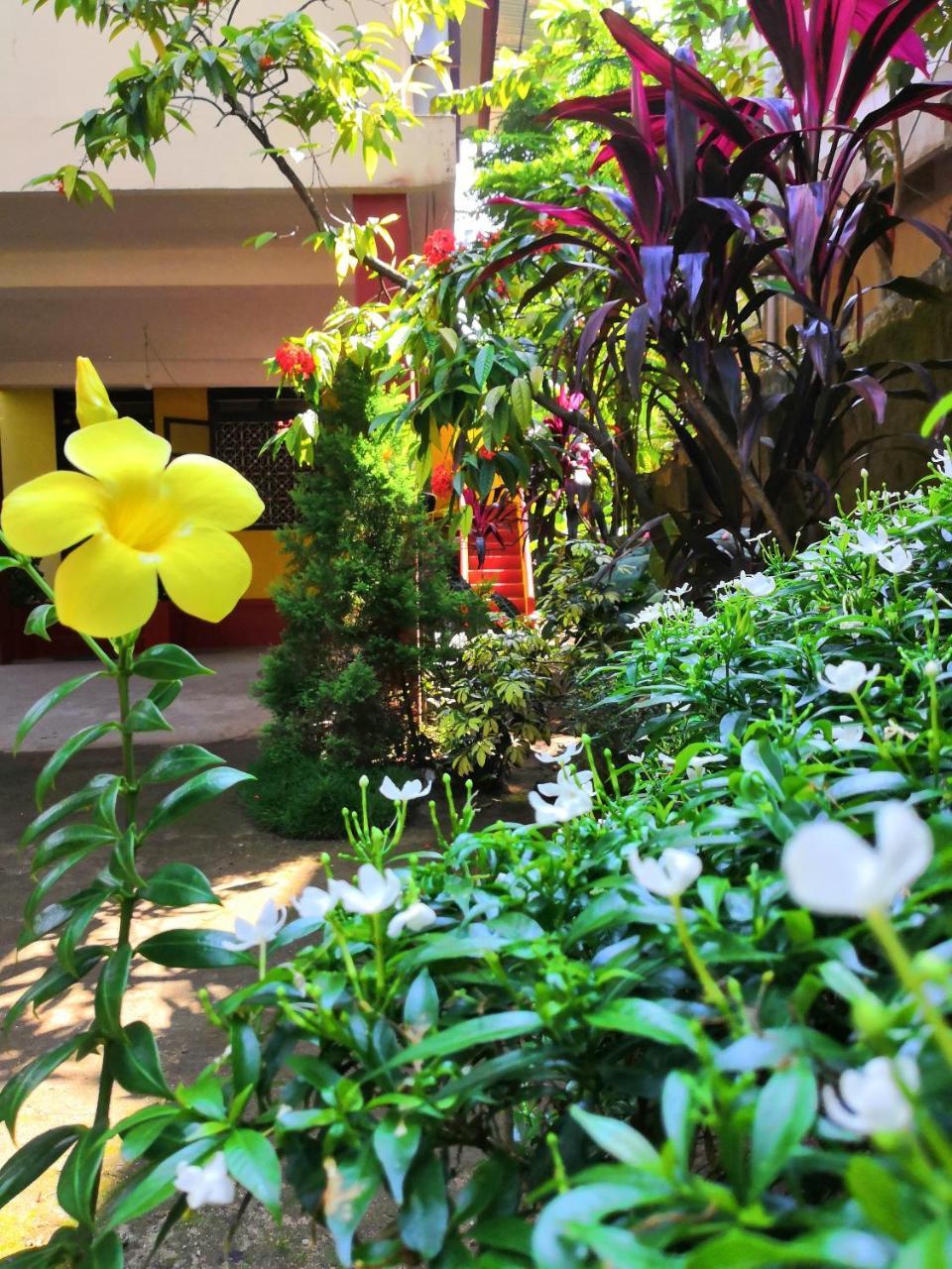 David Homes Kochi Exterior photo